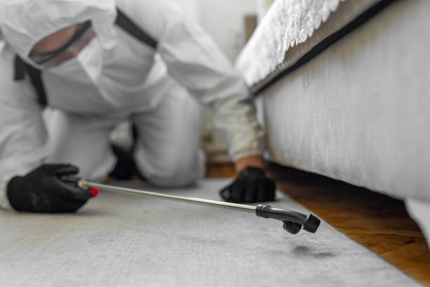 Professional Bed Bug Control technician working in Harvey, ND
