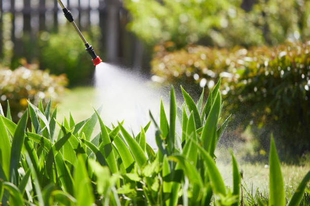 24/7 Emergency Bed Bug Control experts in Harvey, ND